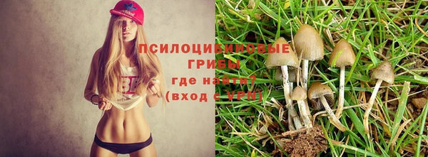 марки lsd Михайловка
