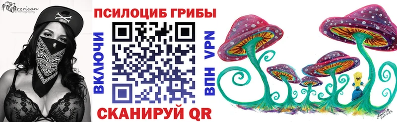 Псилоцибиновые грибы Cubensis  Тарко-Сале 